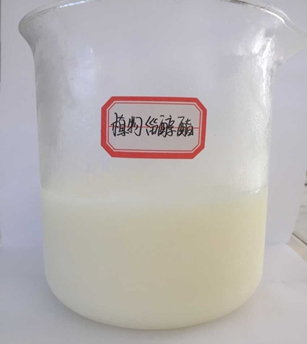 1565587586137523.jpg 图片2(5).jpg