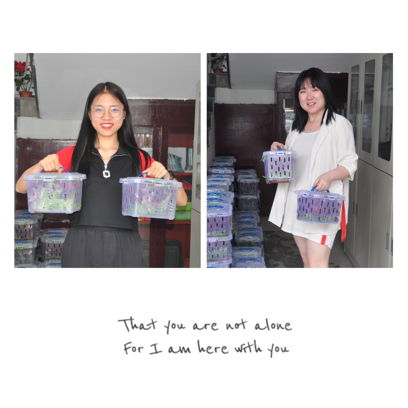 1592956973210779.jpg 微信图片_20200622153037.jpg