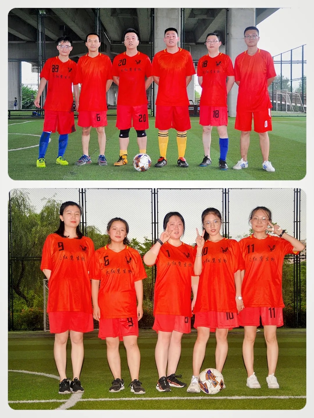 1595819692309945.jpg 333333333.webp.jpg