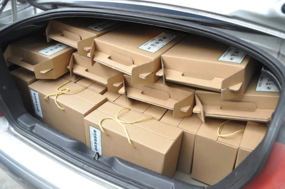 1641537565933777.jpg 640.webp.jpg