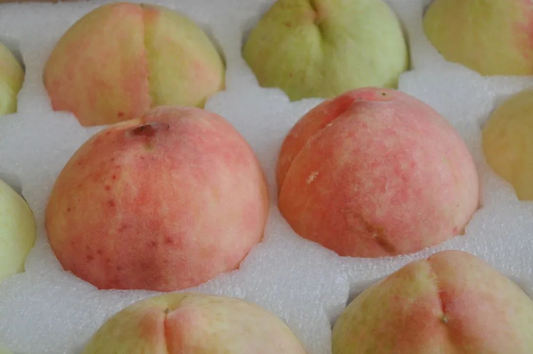 1658290233915491.jpg 640 (2).jpg