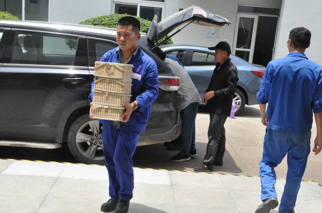 1658291375367543.jpg 640 (2).jpg